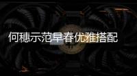 何穗示范早春优雅搭配 这款摩奈手袋太吸睛